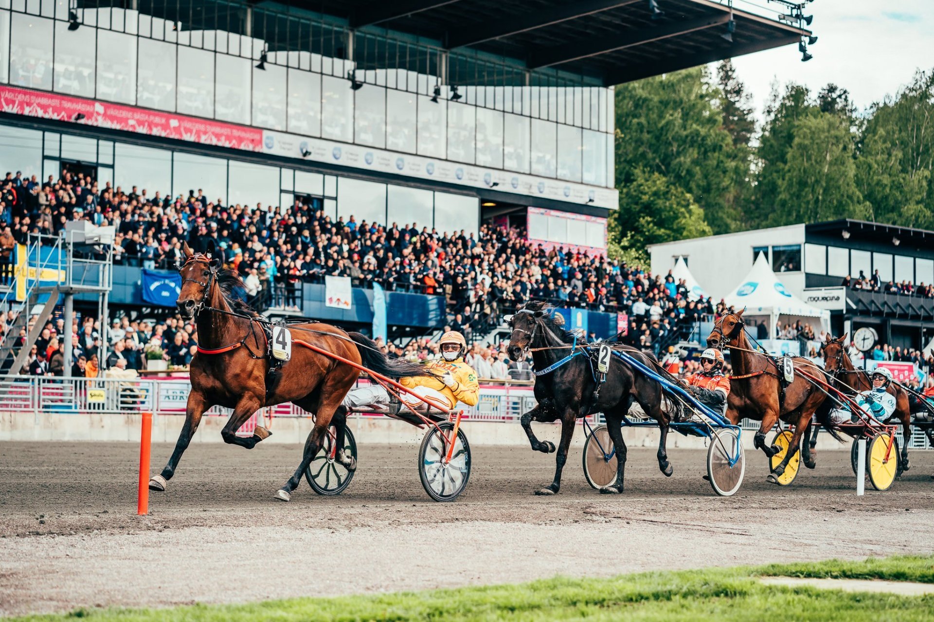 Etusivu Classic Elitloppet risteily 2024 Raviristeilyt